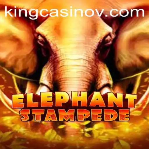 Explore the Thrilling World of ElephantStampede